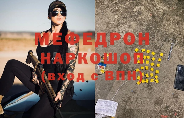 мдпв Ельня