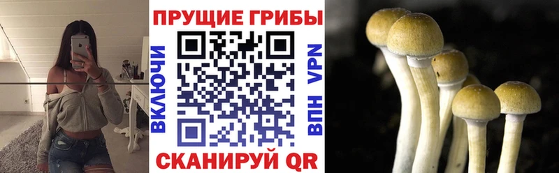 Галлюциногенные грибы MAGIC MUSHROOMS  Купить где  Сенгилей 